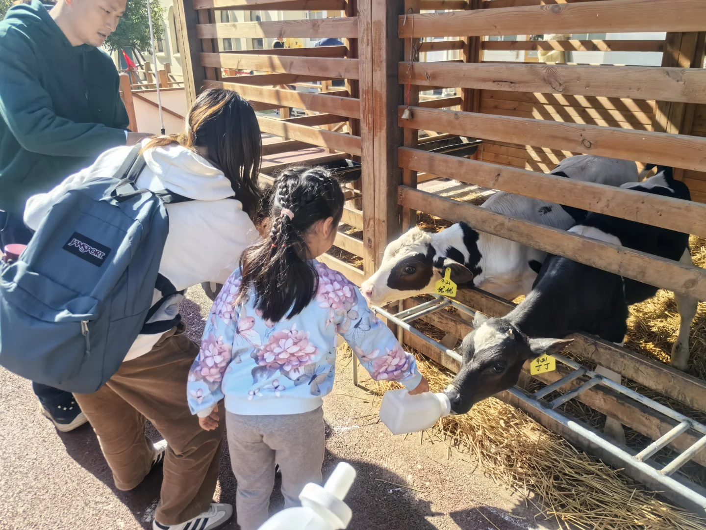 又是元气满满的一天?