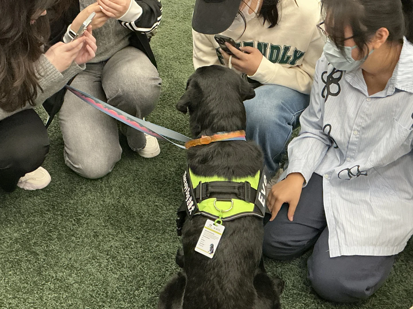 谁家图书馆可以撸小狗呀