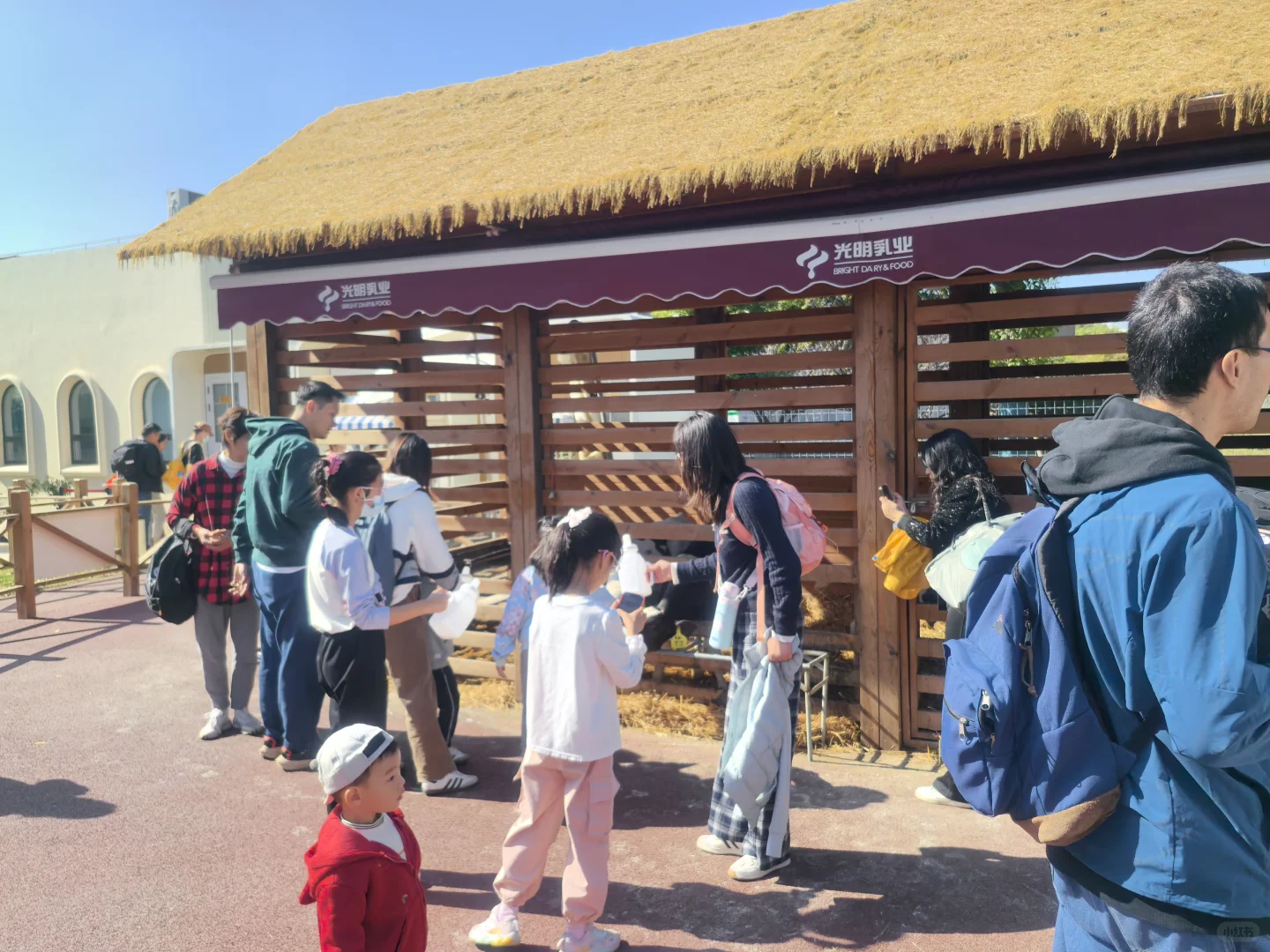 又是元气满满的一天?