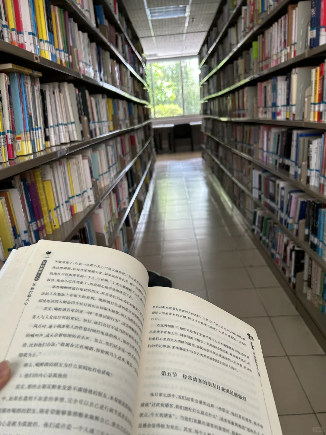 今天安安静静的看书