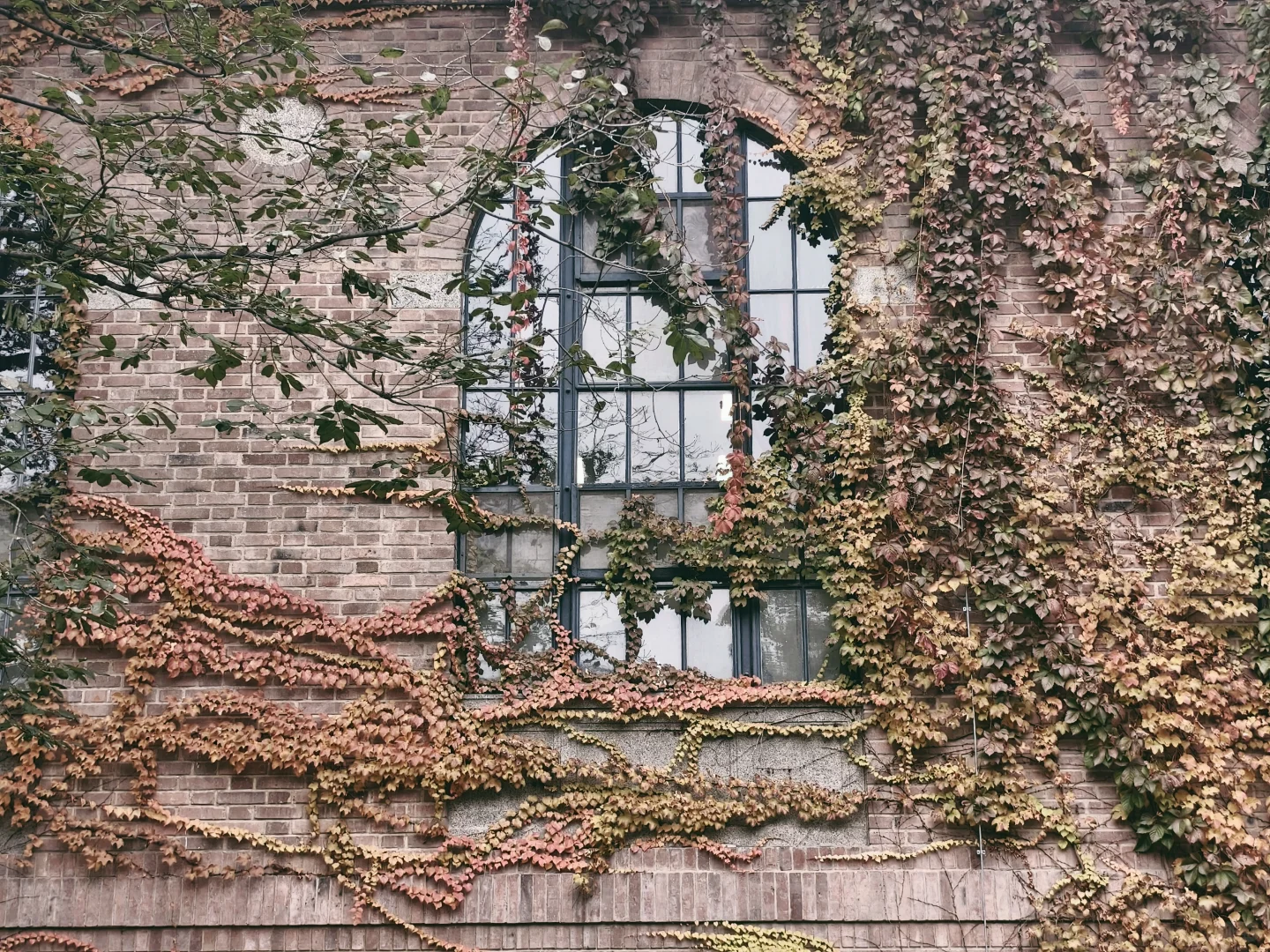 漫卷·象牙塔：清华大学 | 图书馆