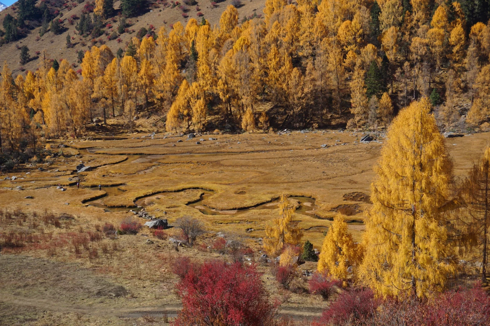 川西系列～小金～大坪牧业村～龙头滩