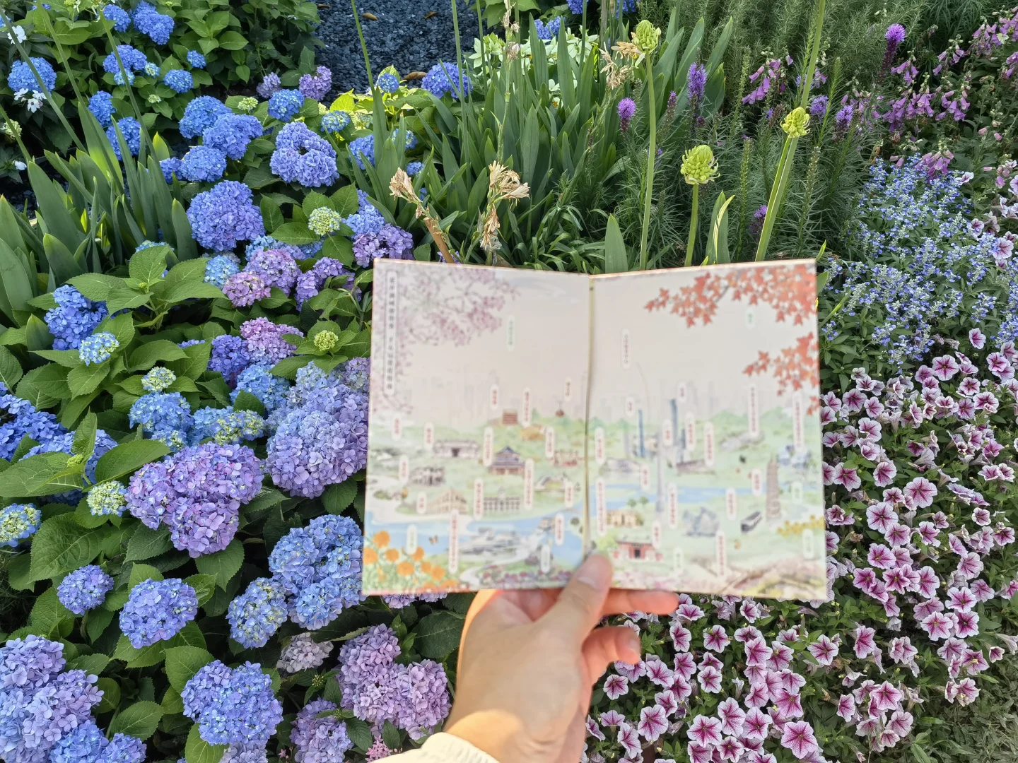 广州园博会真的太美啦！?