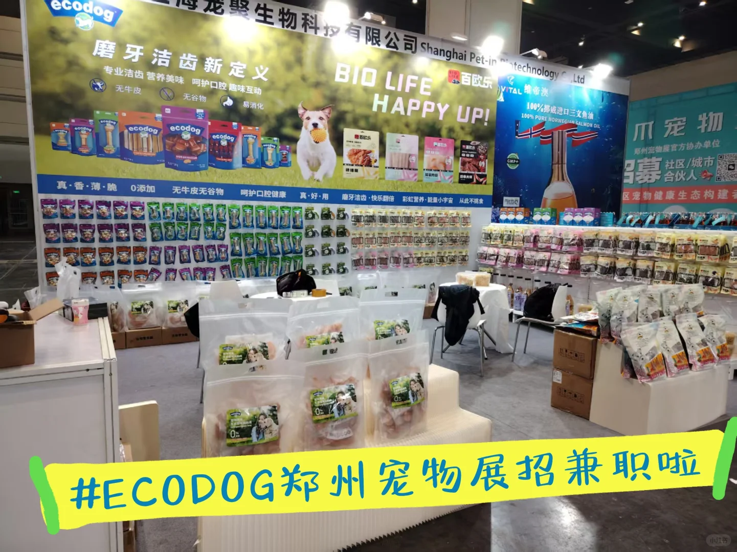 壹口乐郑州宠物展大量招兼职啦