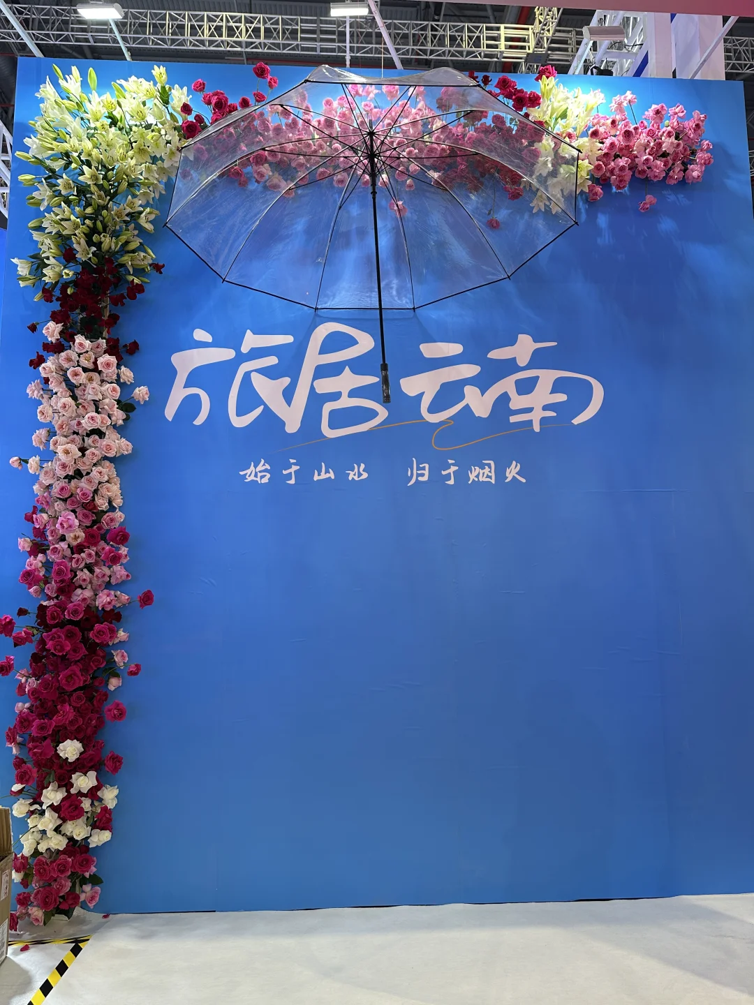 快来长三角文博会薅羊毛啦！