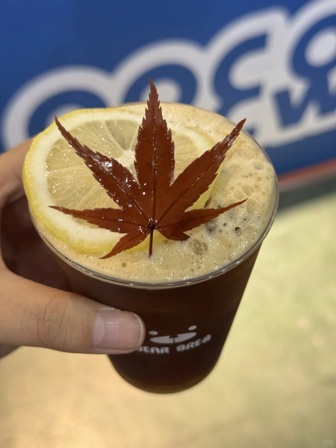 不出厦门喝遍全国！咖啡展4家封神摊位不踩雷