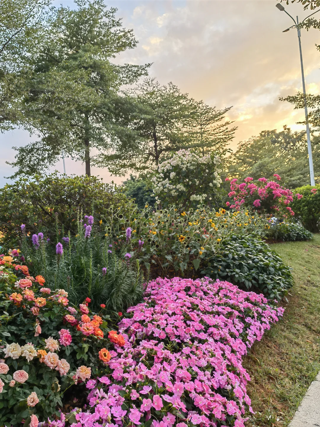 广州园博会真的太美啦！?