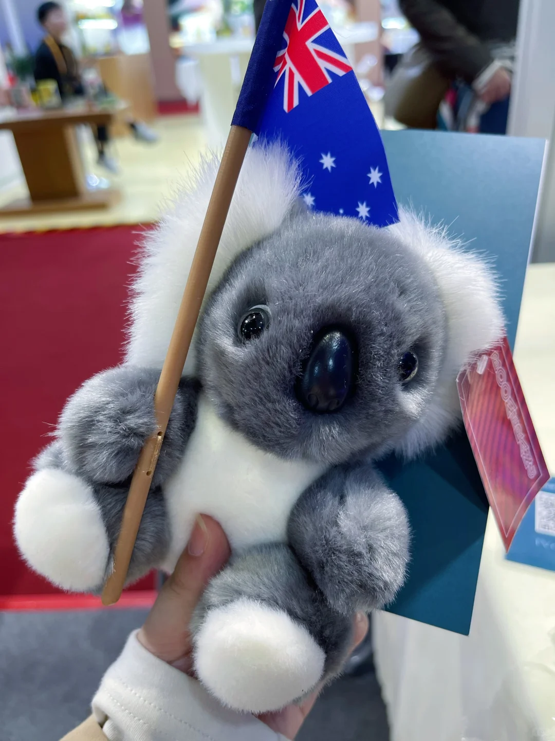 2025年进口博览会 大开眼界?