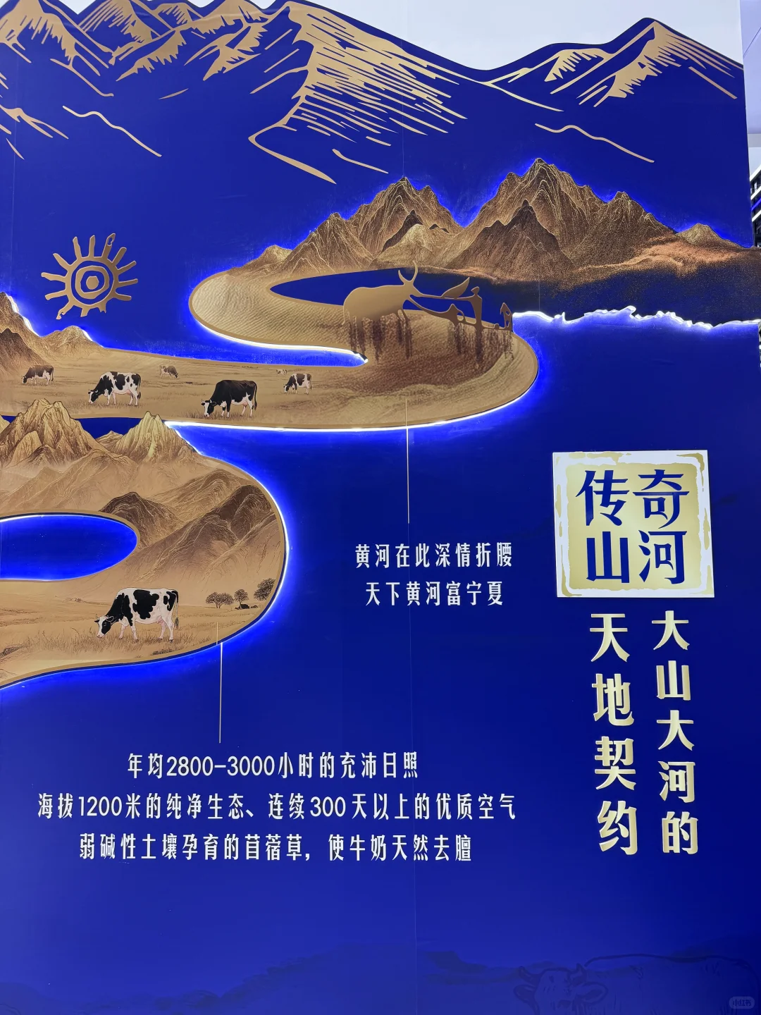 中阿博览！！贺兰山下的夏进爵品奶太绝了！