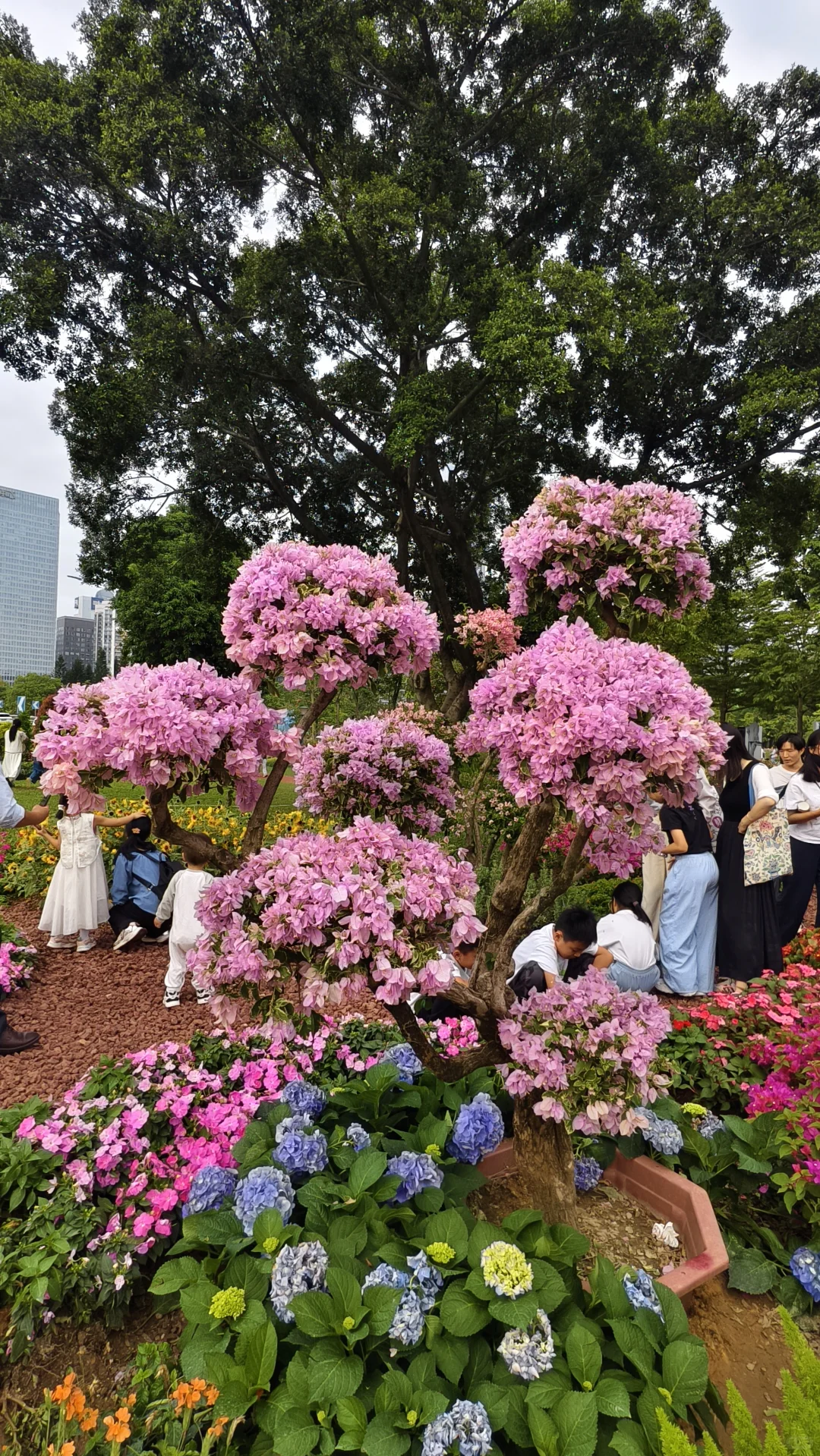 第32届广州园林博览会路线攻略