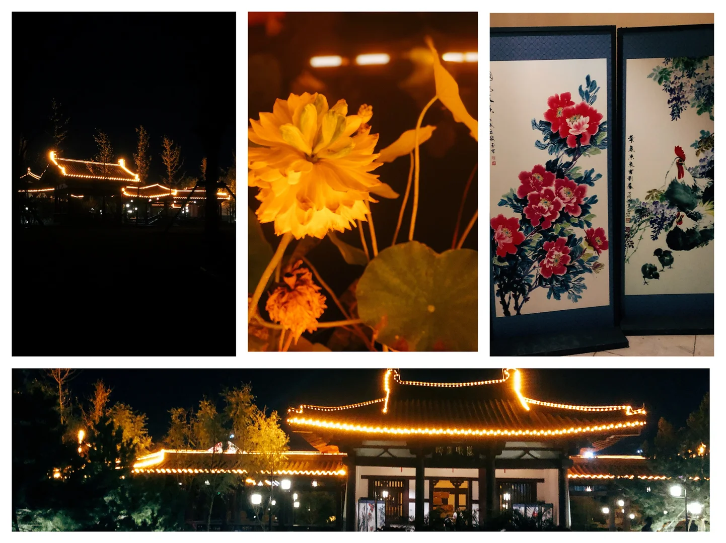 ?邯郸园博园打卡攻略走起～