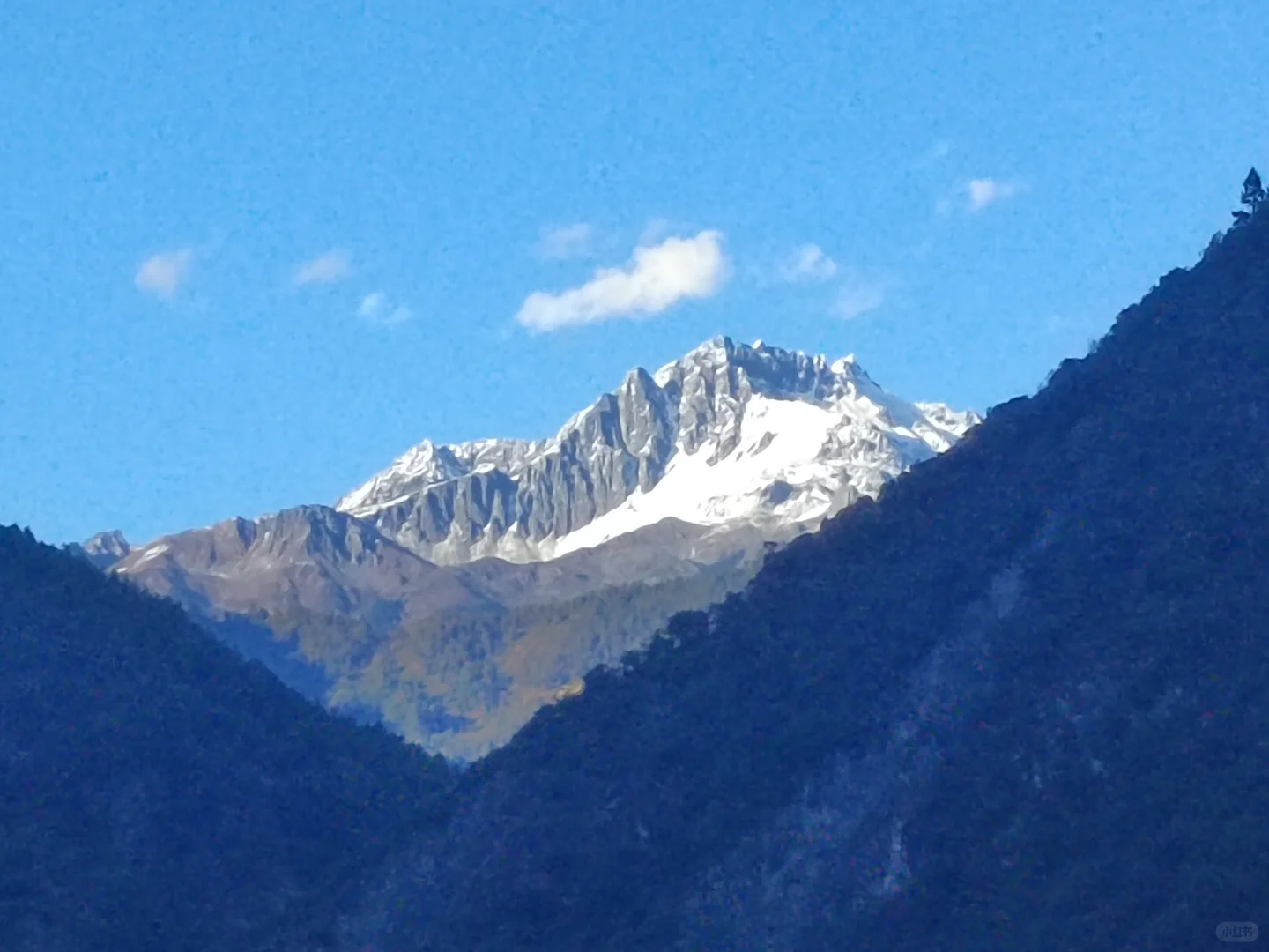 葡萄酒硕士毕业，做了四年市场又回到酒庄