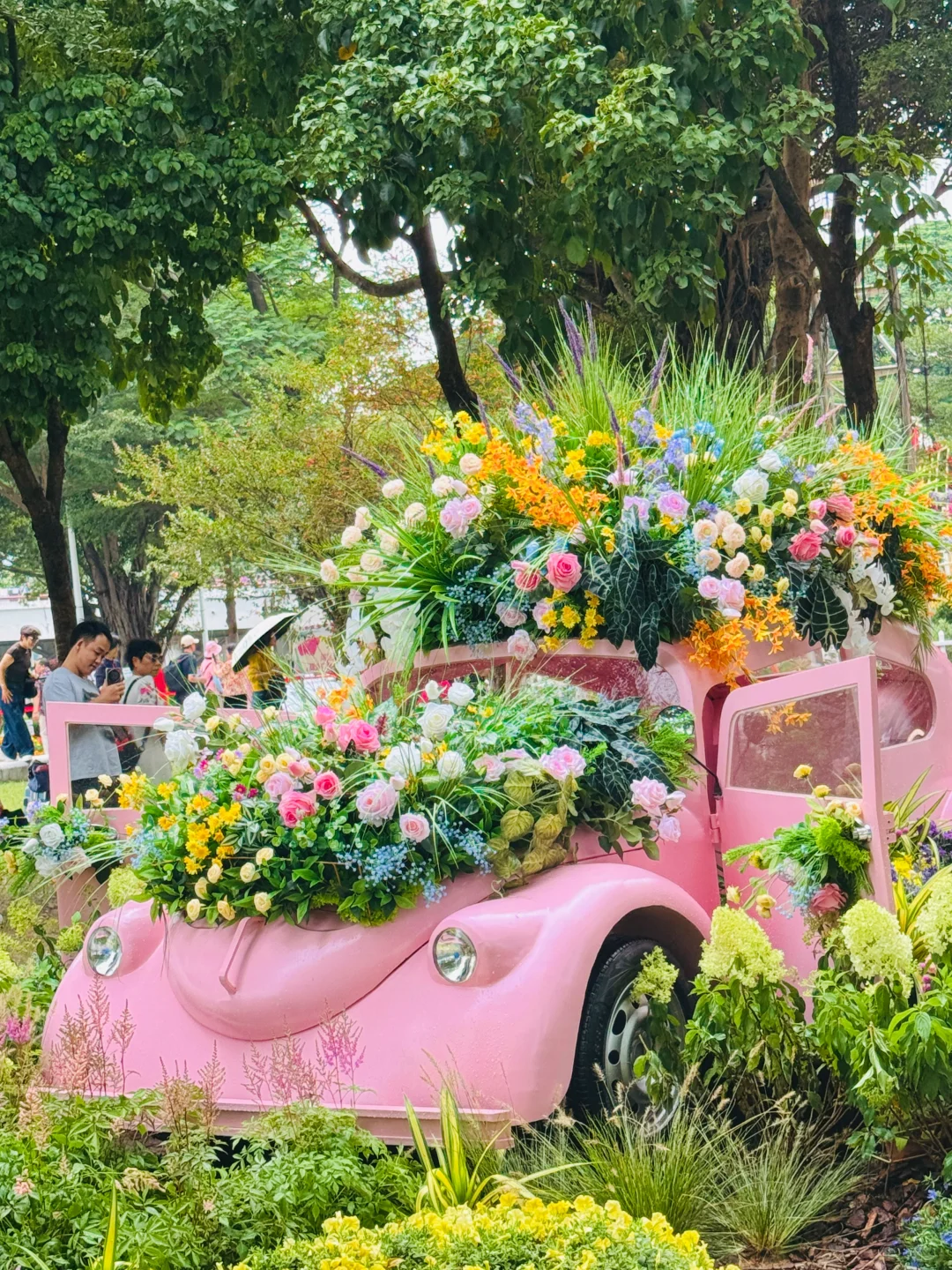 广州园博会?终于有人把机位路线说清楚啦‼️