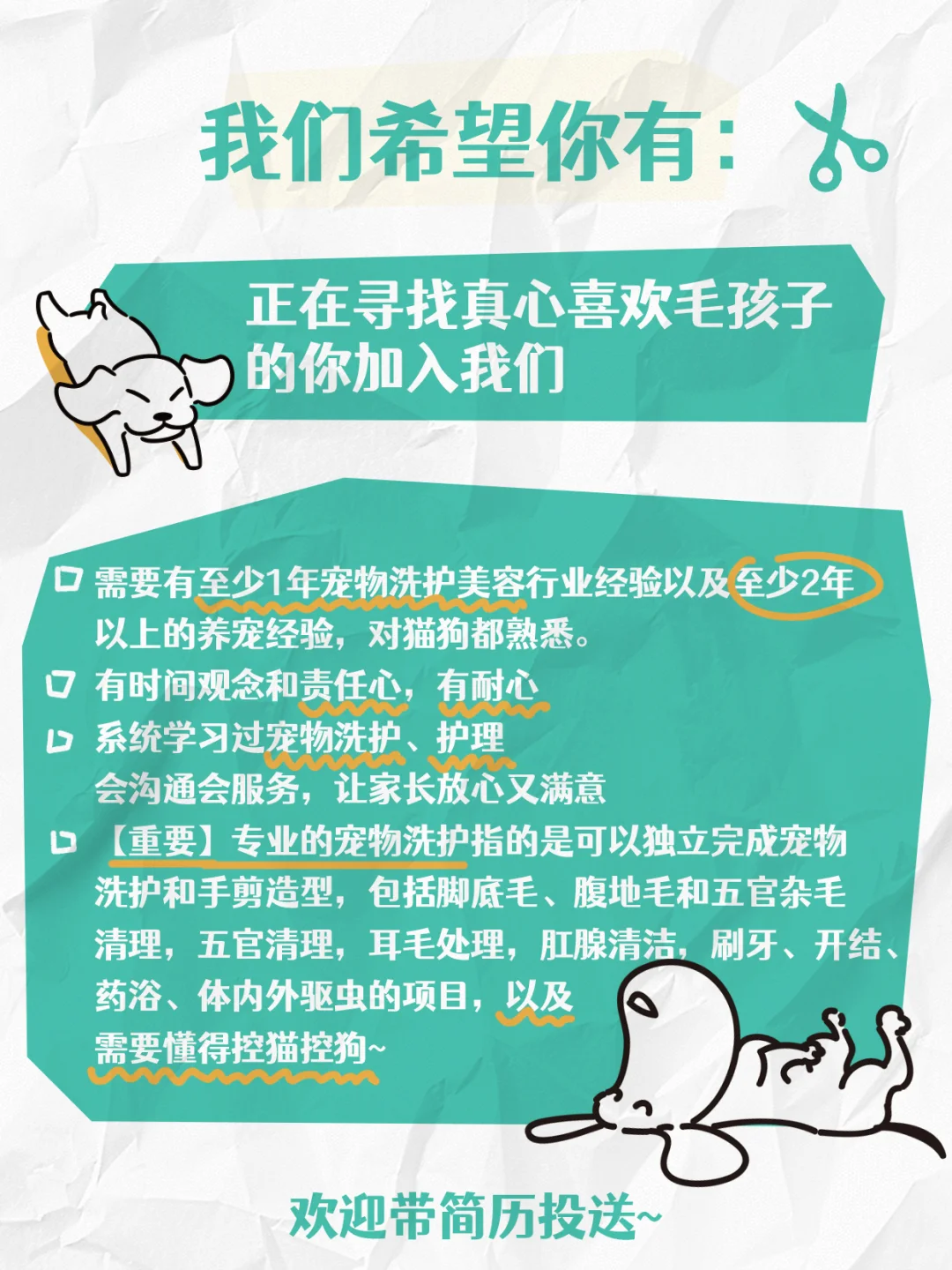 「全国招聘」宠物团队招人啦!