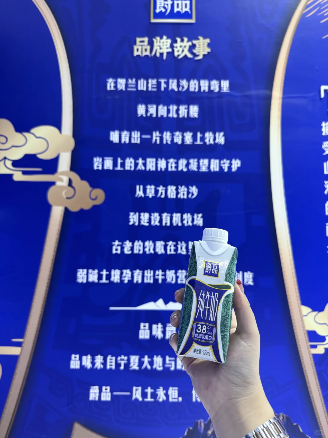 中阿博览！！贺兰山下的夏进爵品奶太绝了！