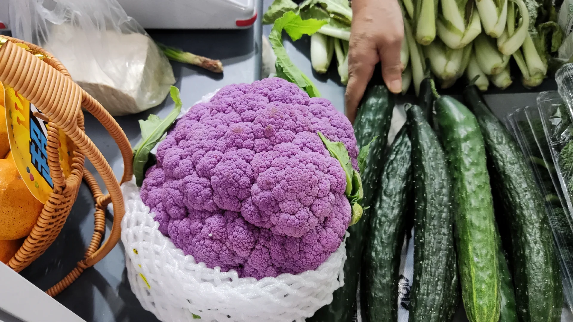 周末暴走在农博会蹭吃蹭喝的一天！