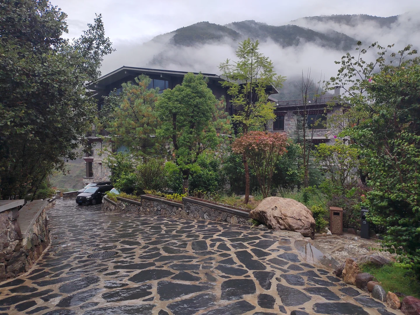 葡萄酒硕士毕业，做了四年市场又回到酒庄