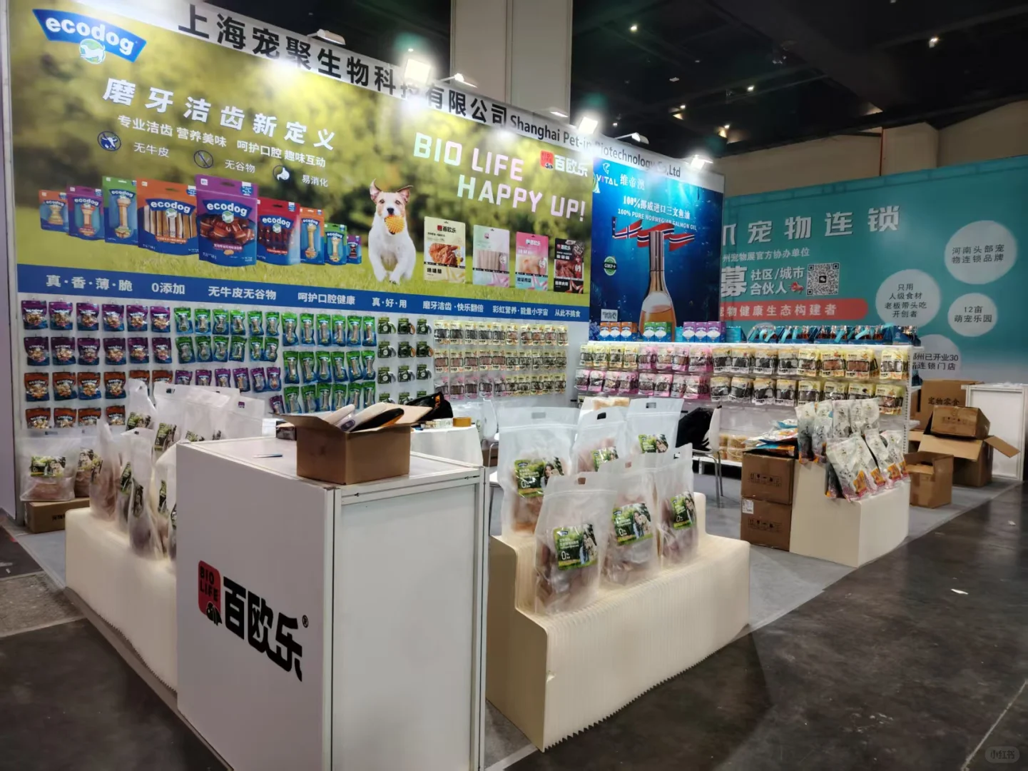 壹口乐郑州宠物展大量招兼职啦