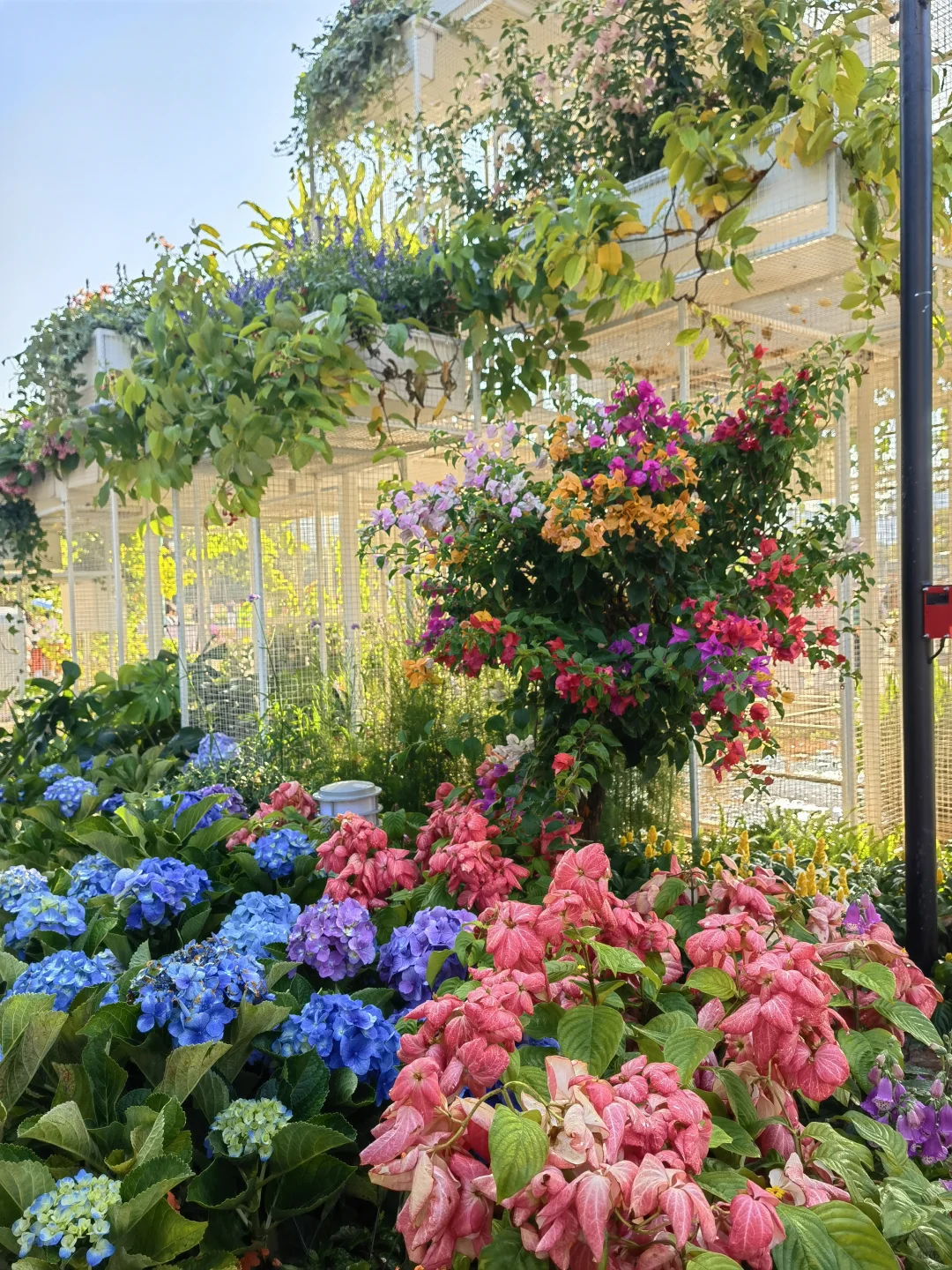 广州园博会真的太美啦！?