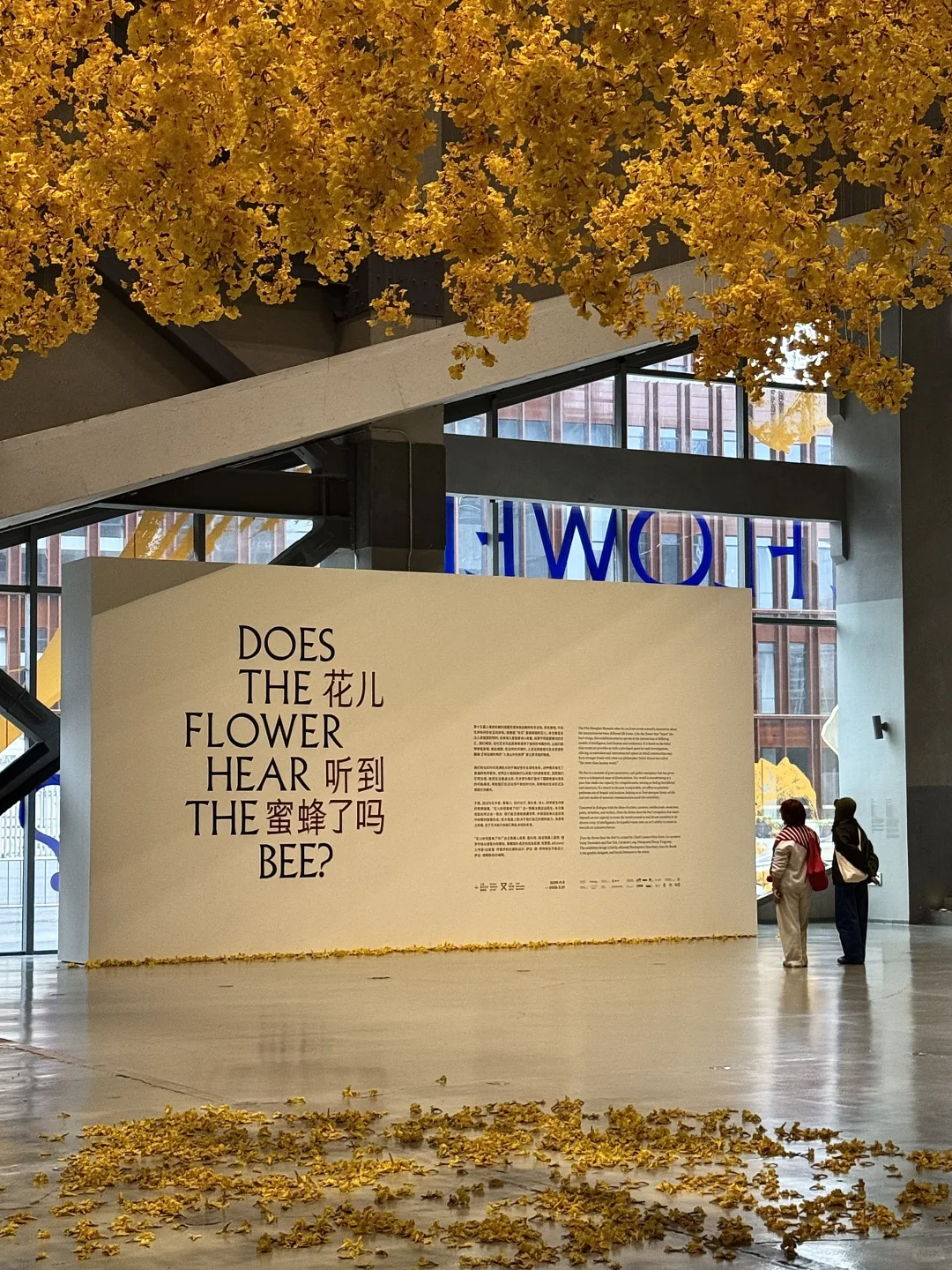 上海年底王炸展览来了！必打卡2025双年展～