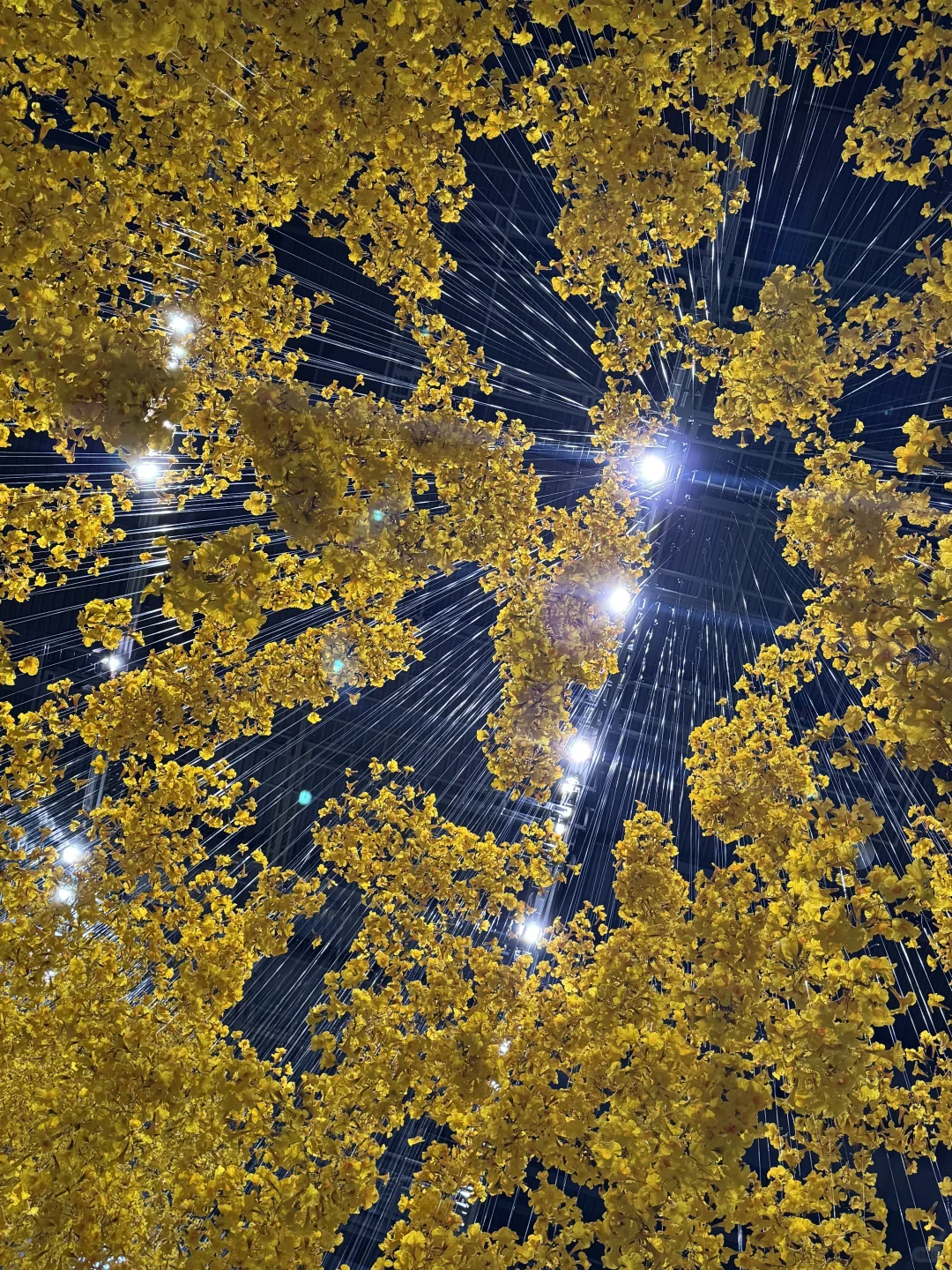 上海年底王炸展览来了！必打卡2025双年展～