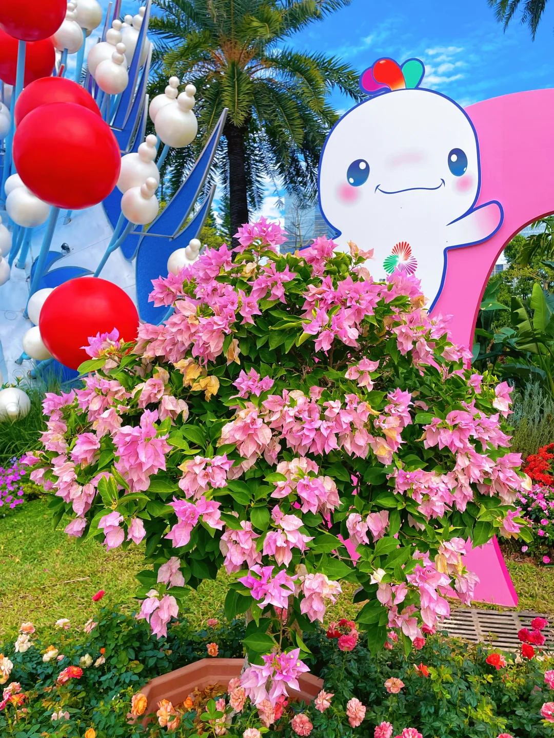 暴走2h‼️打卡园博会?