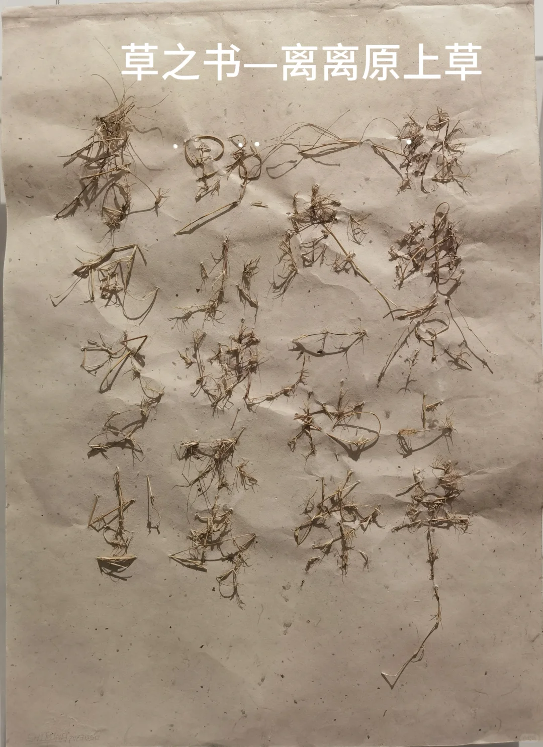 海沧金沙书院，马约翰艺术大展