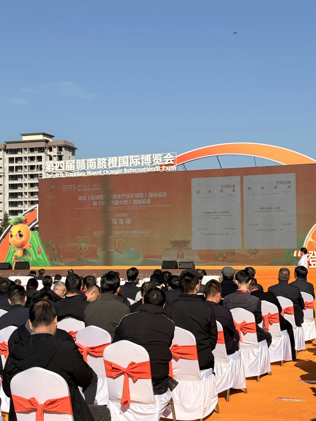 赣州这里！好多人好热闹~脐橙节?