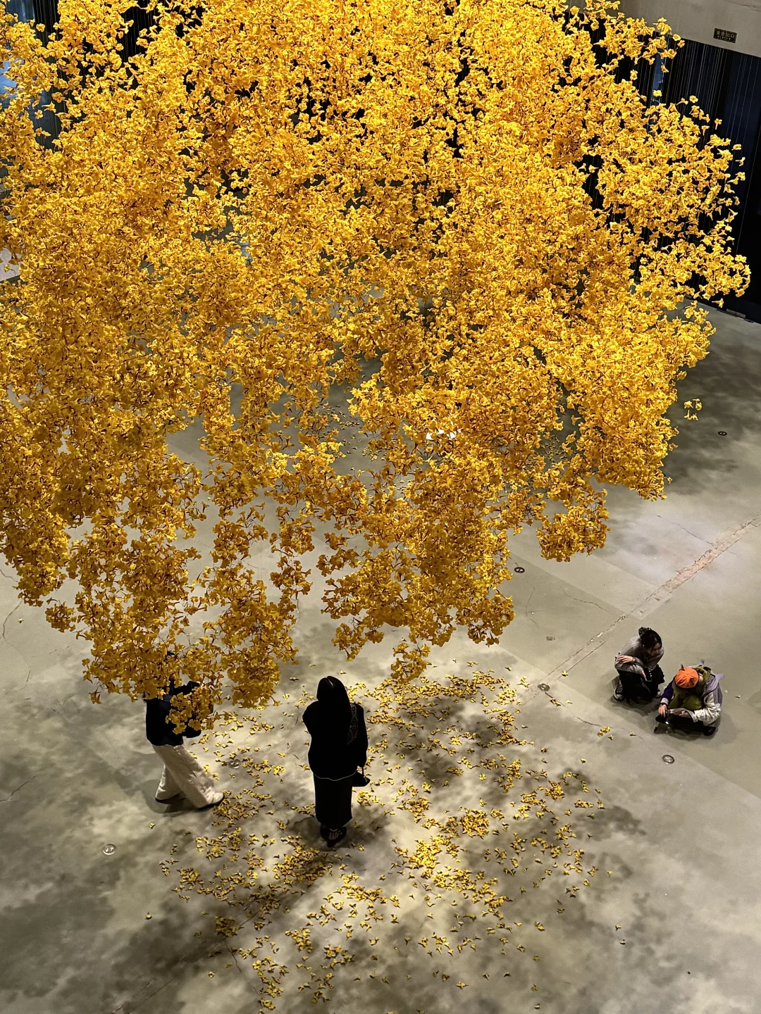 上海年底王炸展览来了！必打卡2025双年展～