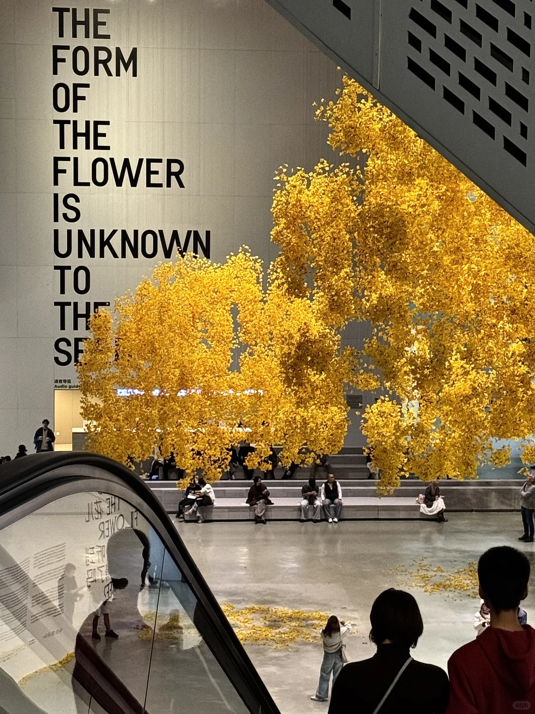 上海年底王炸展览来了！必打卡2025双年展～