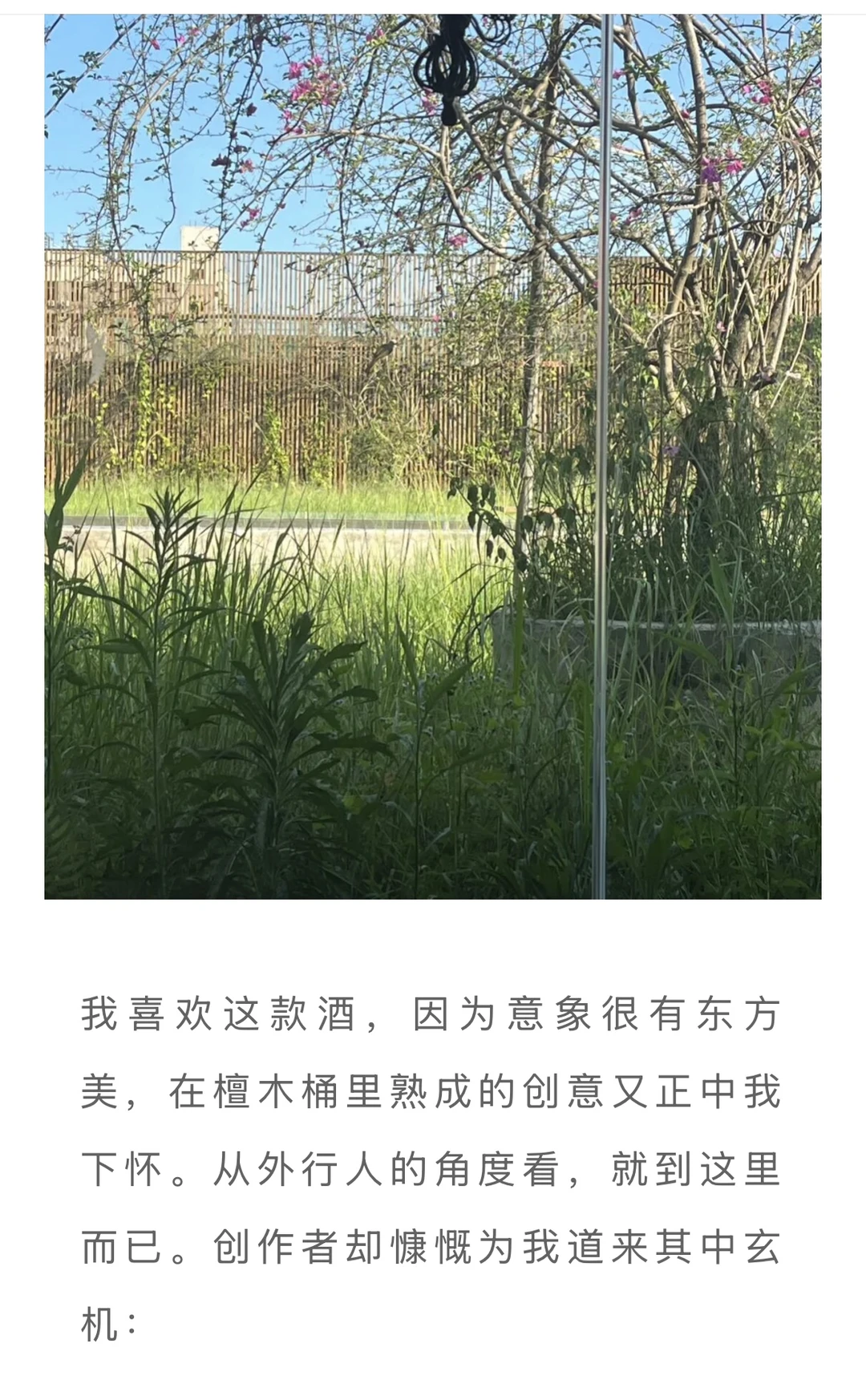 中国本土低度酒去哪里了？