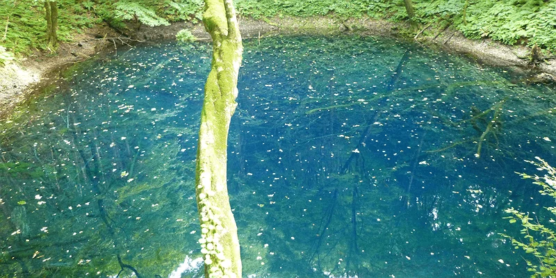 打破常规束缚自由构想的「山本 纯米吟酿」