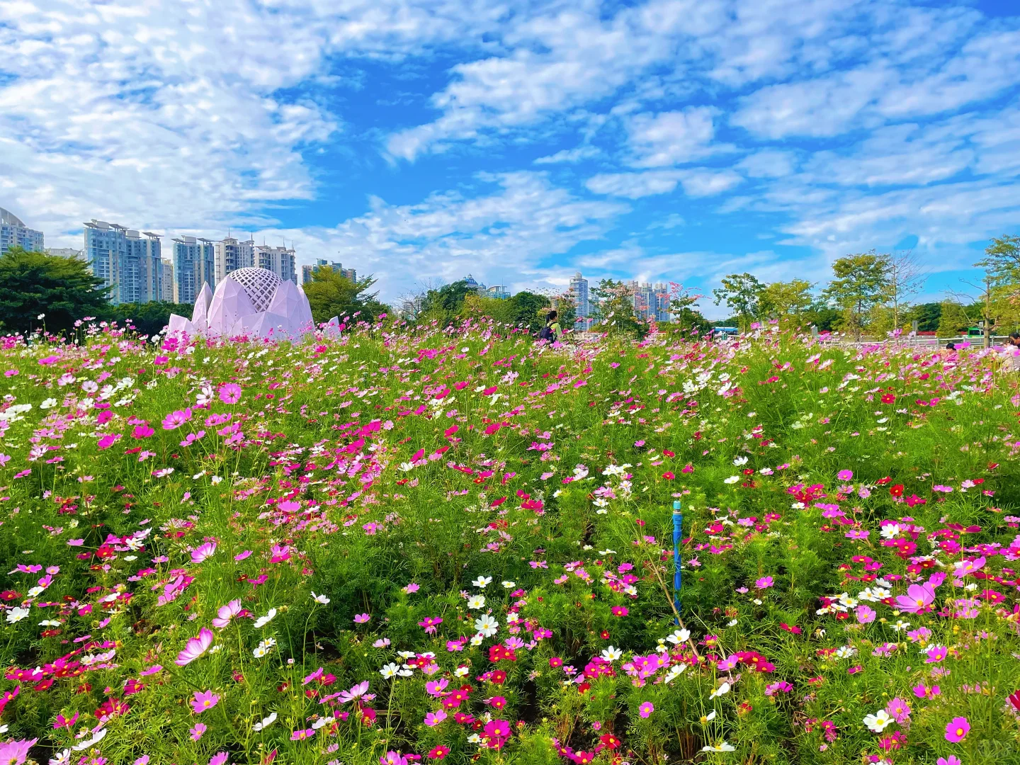 暴走2h‼️打卡园博会?