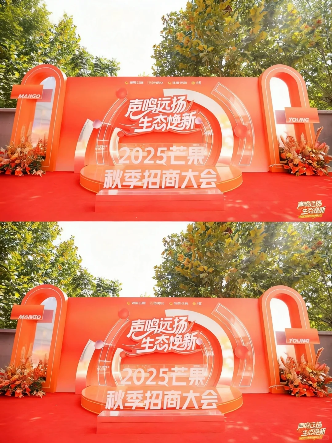 2025芒果秋季招商大会秋色芒果橙花艺布置
