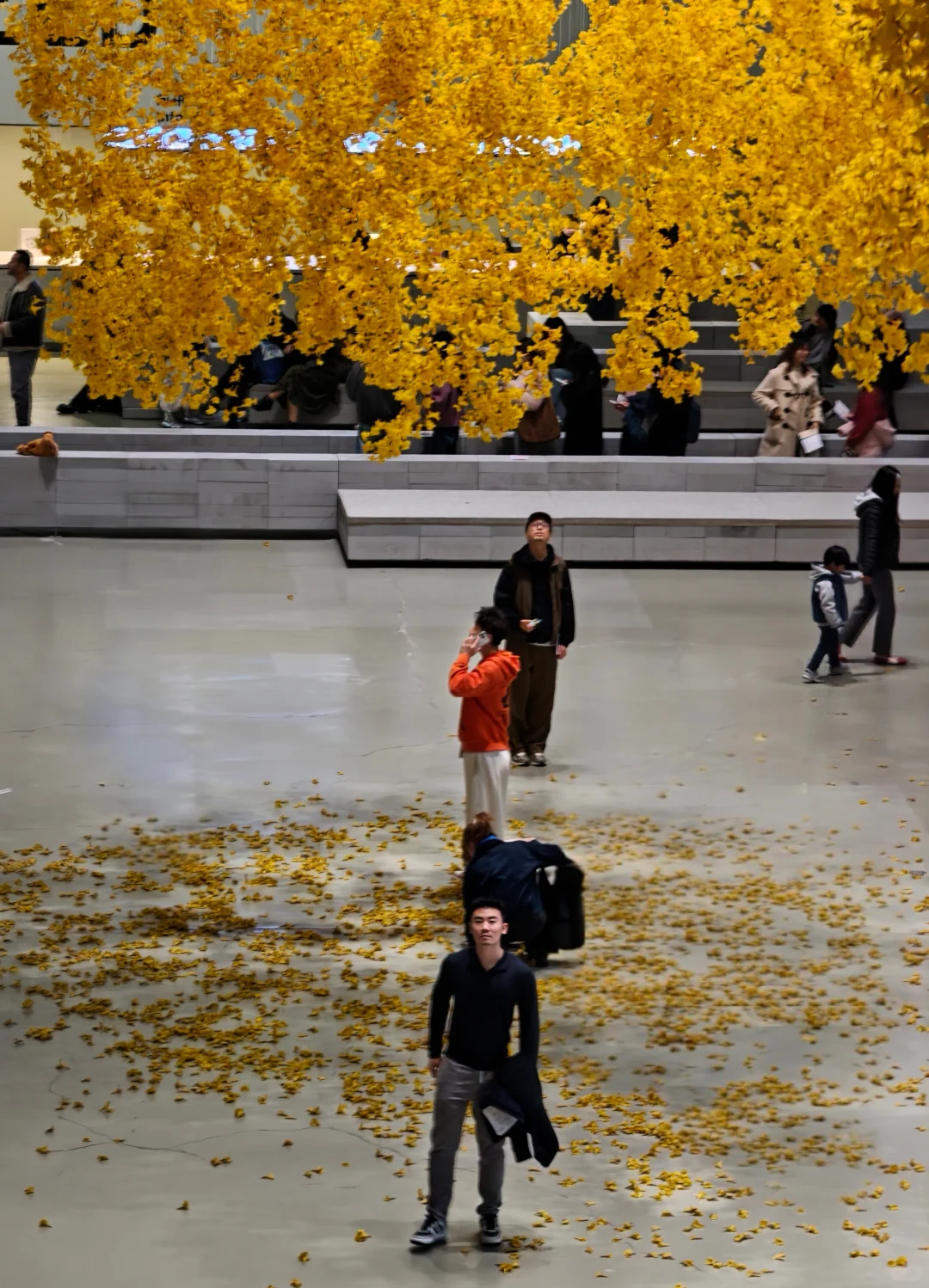 去双年展与同频的人共赴一场花开有声的约会