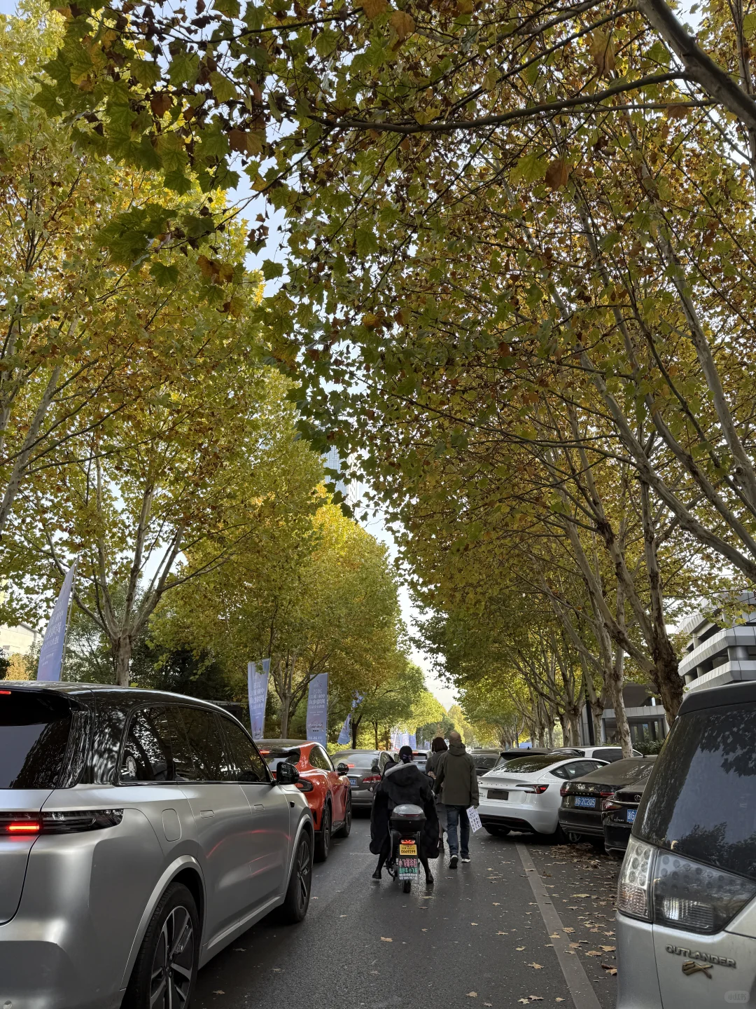 又是一年义乌跨境展