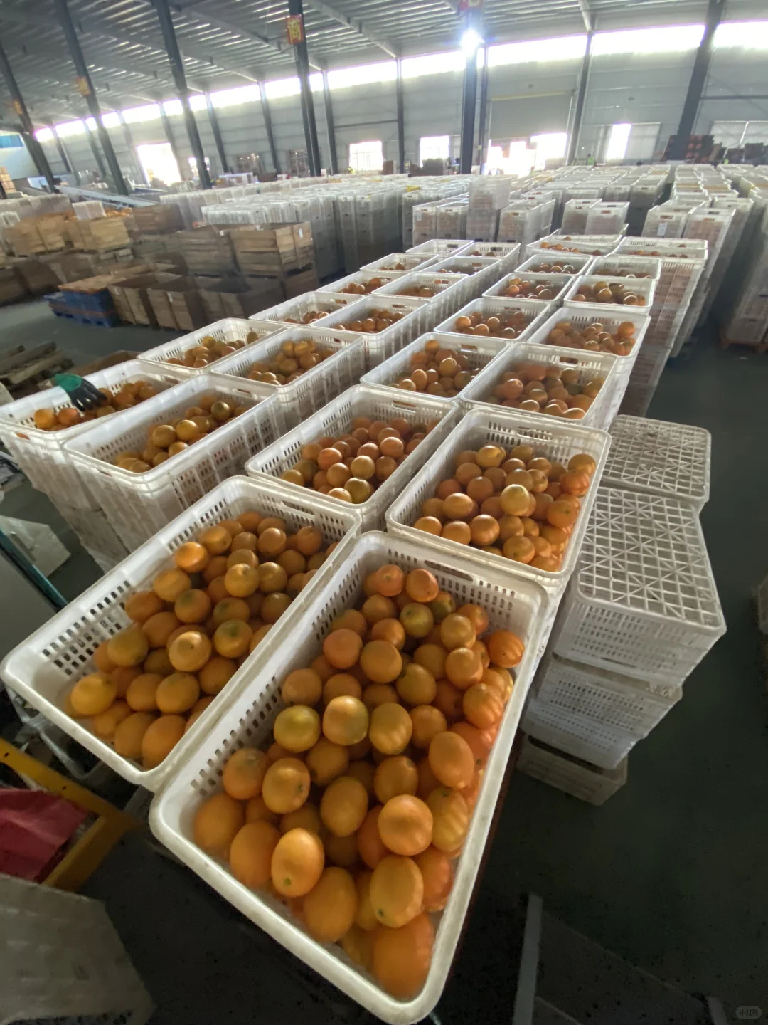 创新驱动｜服务至上