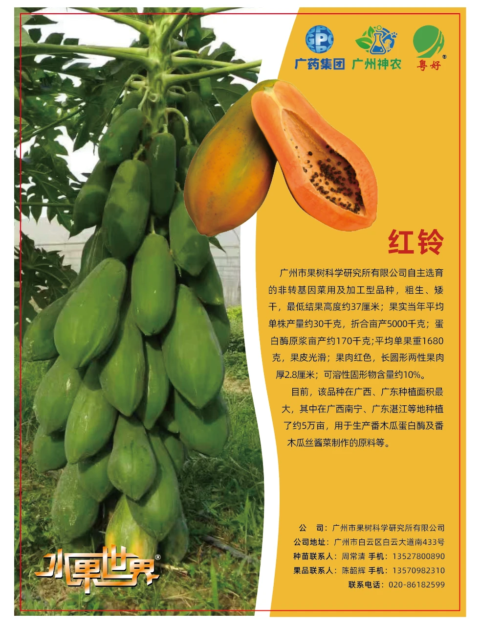 想吃番木瓜的朋友看过来