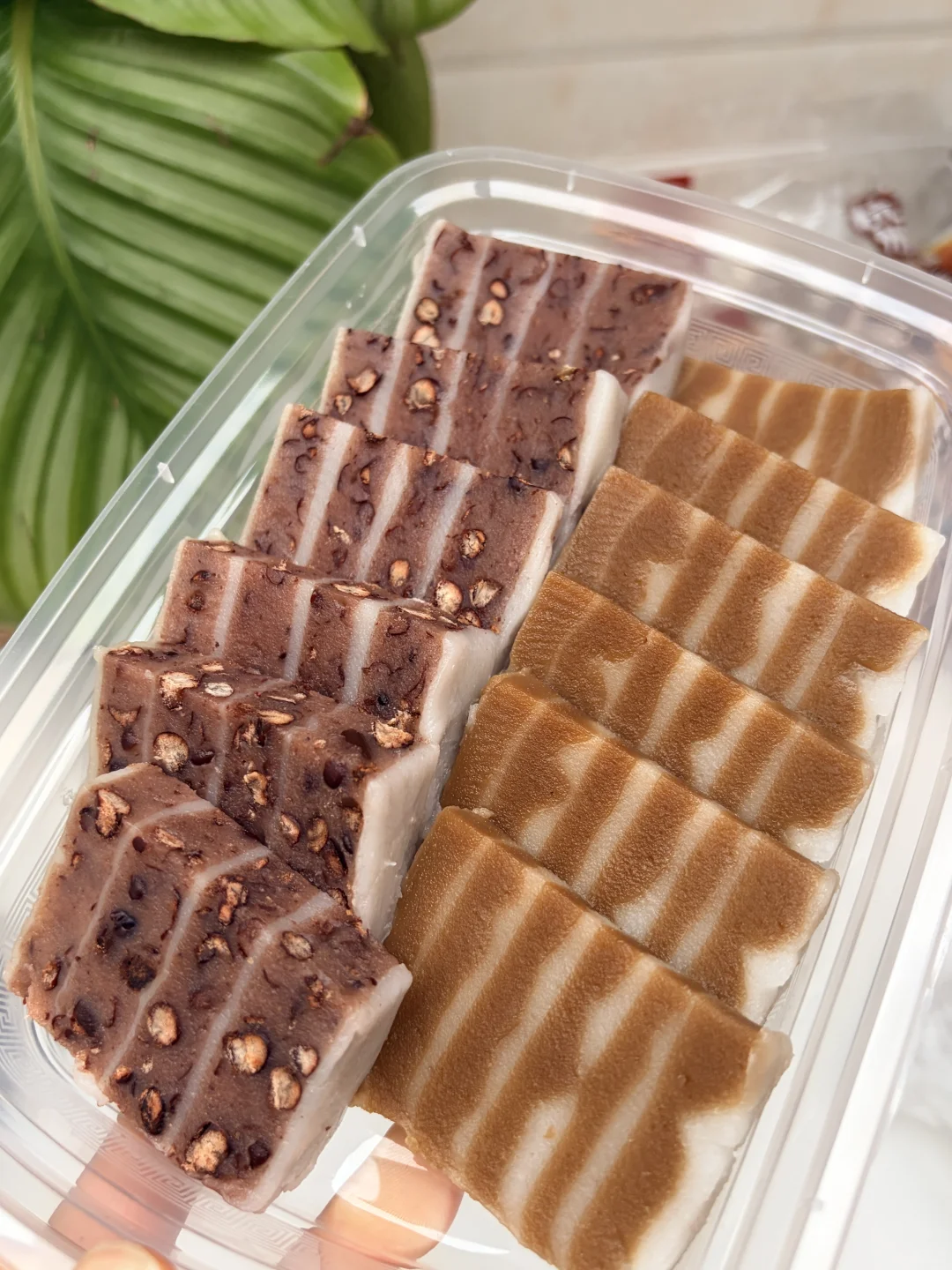 浙江农博会战绩来啦！！！