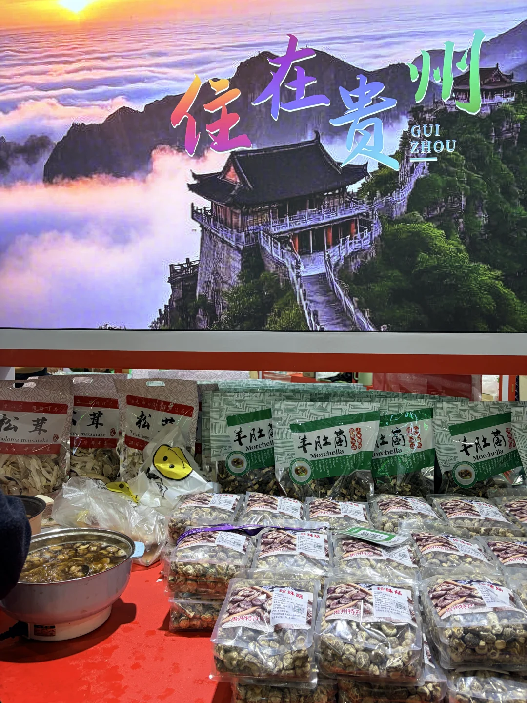 浙江农博会战绩来啦！！！