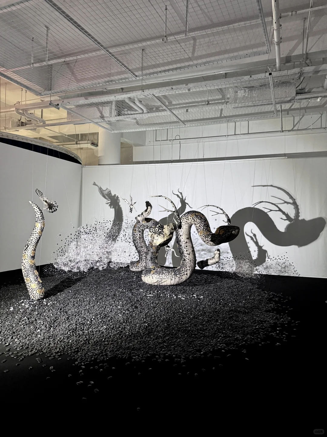 深圳新展｜纸艺创作的梦幻世界?直达（附机位