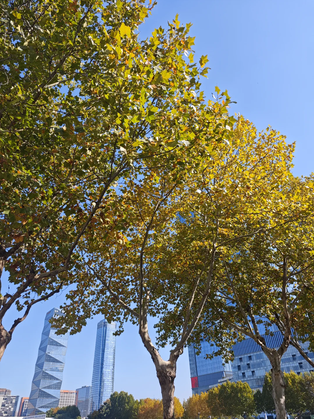 2025南京药交会 跨境保健品很火！爆发式！