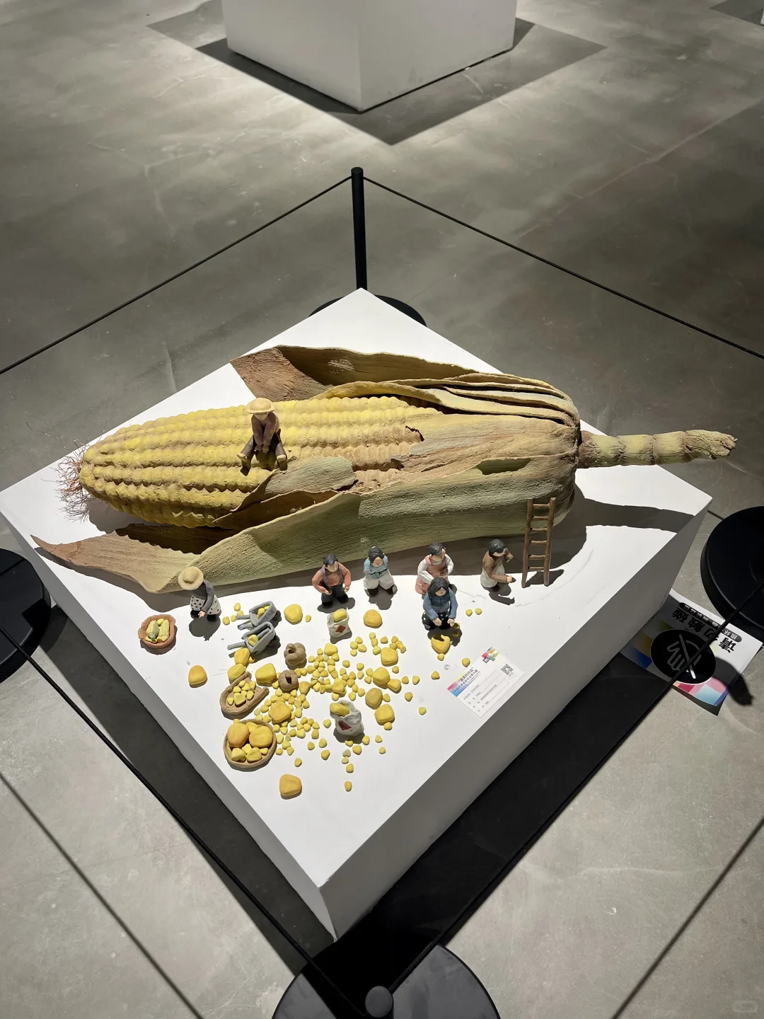 传说中的全国九大美院毕业作品展