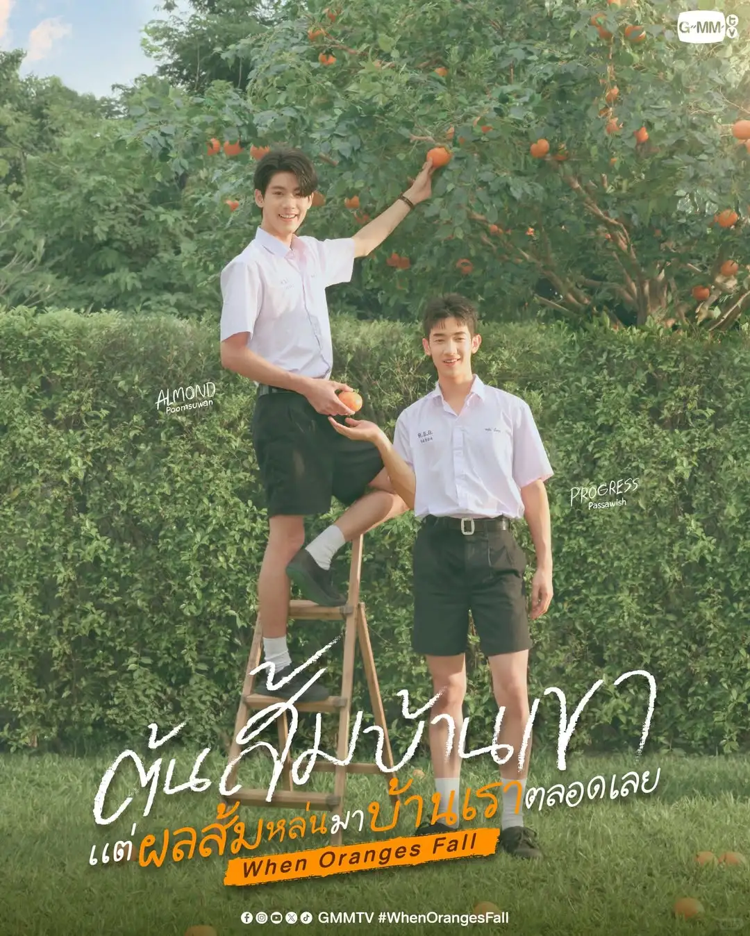 GMMTV 2026推介会记录✍️