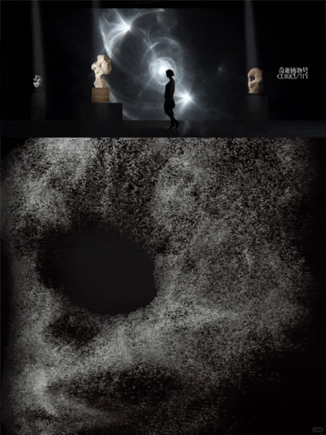 重磅新展| 穿越亿年与古文明来一场震撼对话