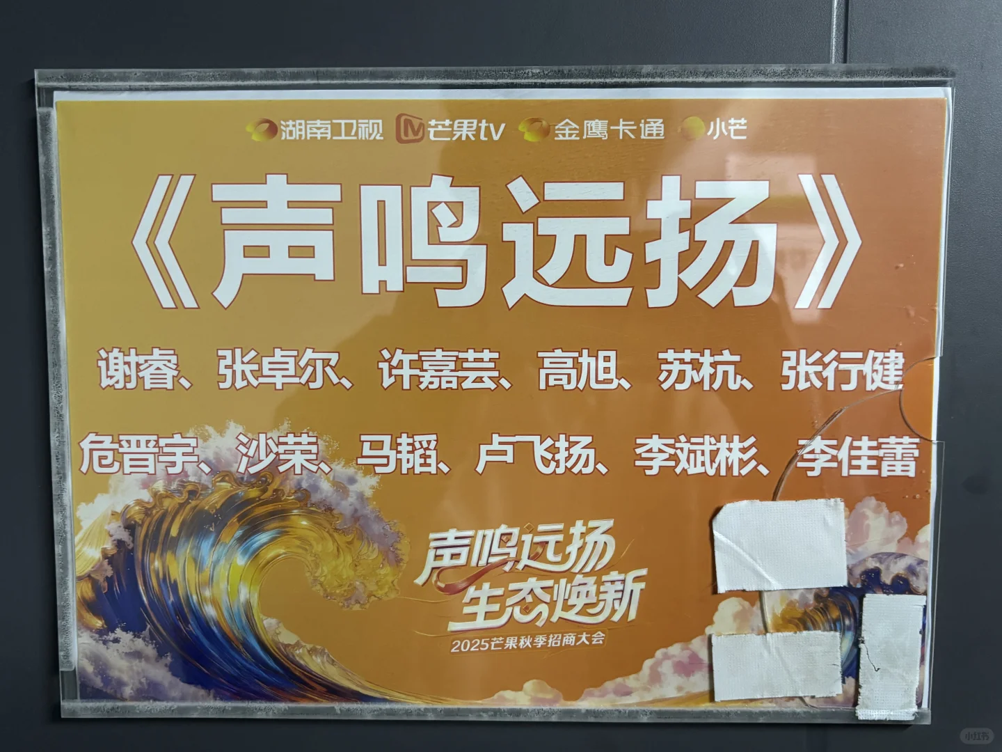 记录参加芒果招商会～