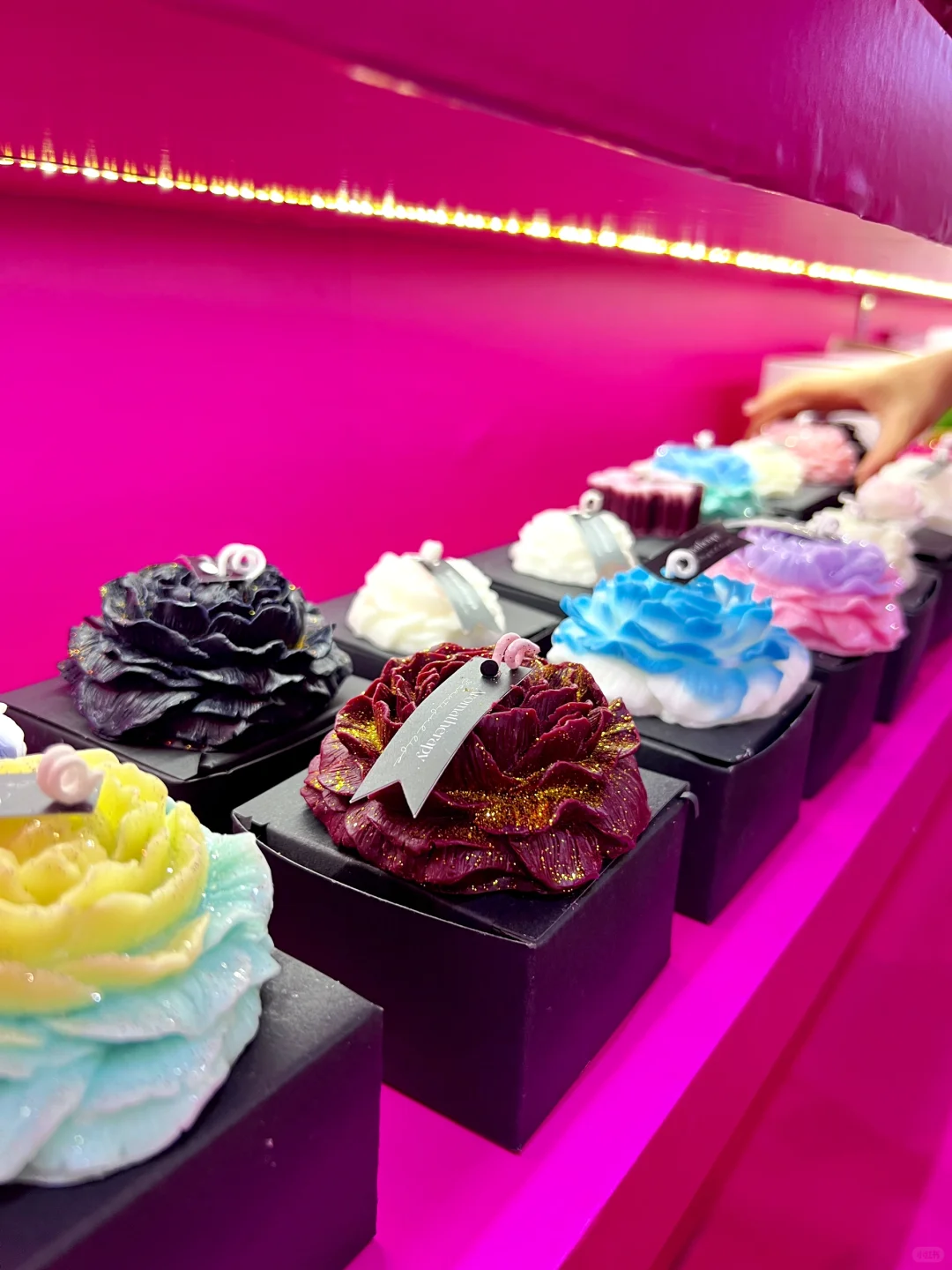 义乌礼品展涨知识的一天