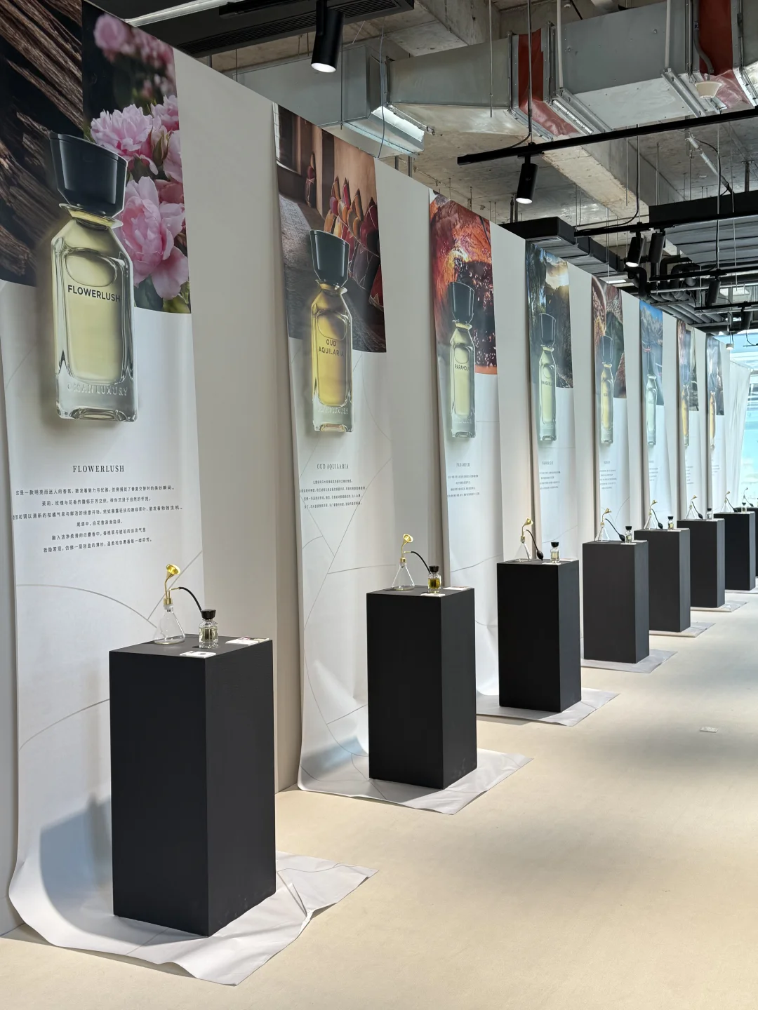 杭州新展｜UNN x 轻旅人