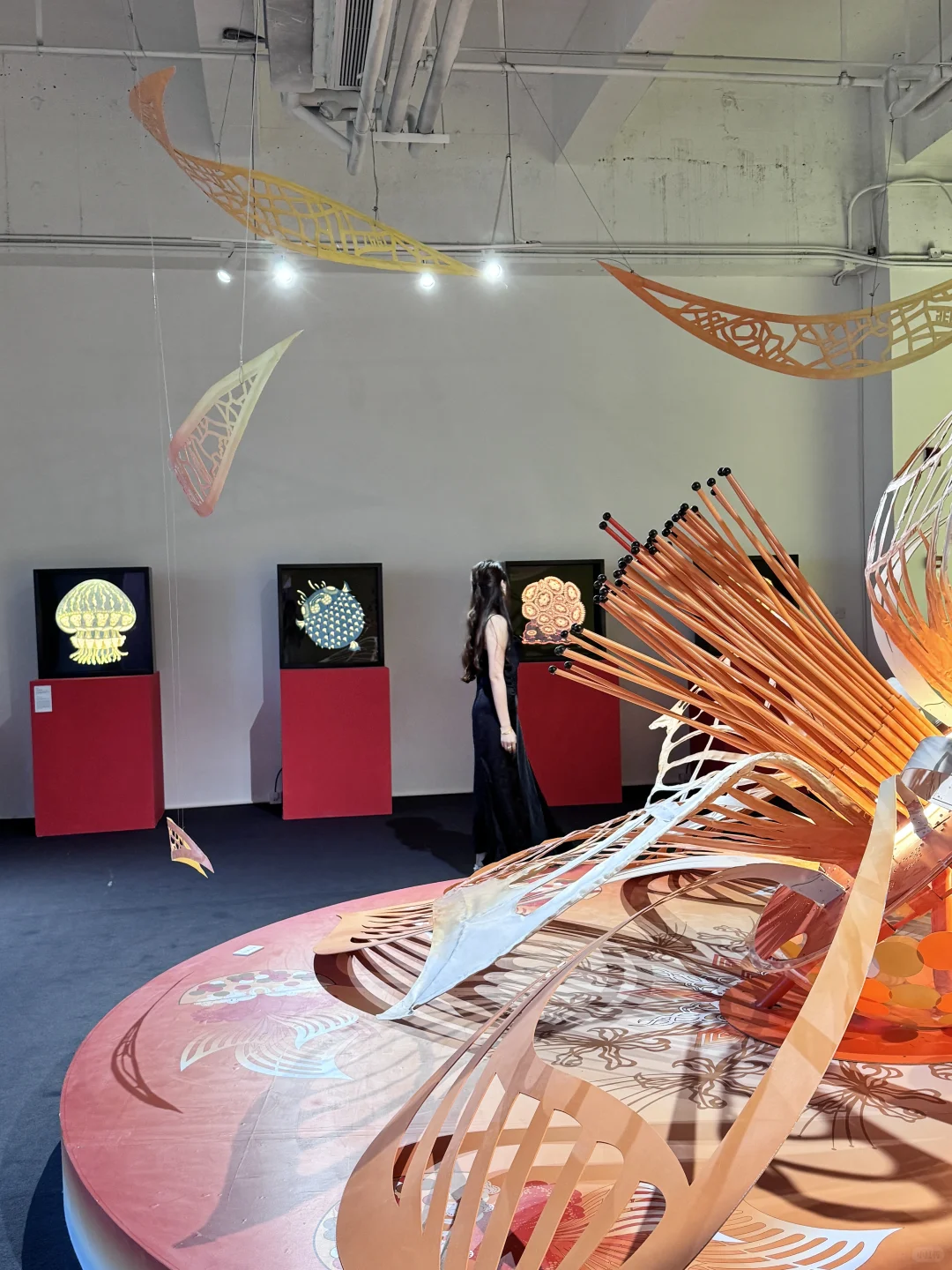 深圳新展｜纸艺创作的梦幻世界?直达（附机位