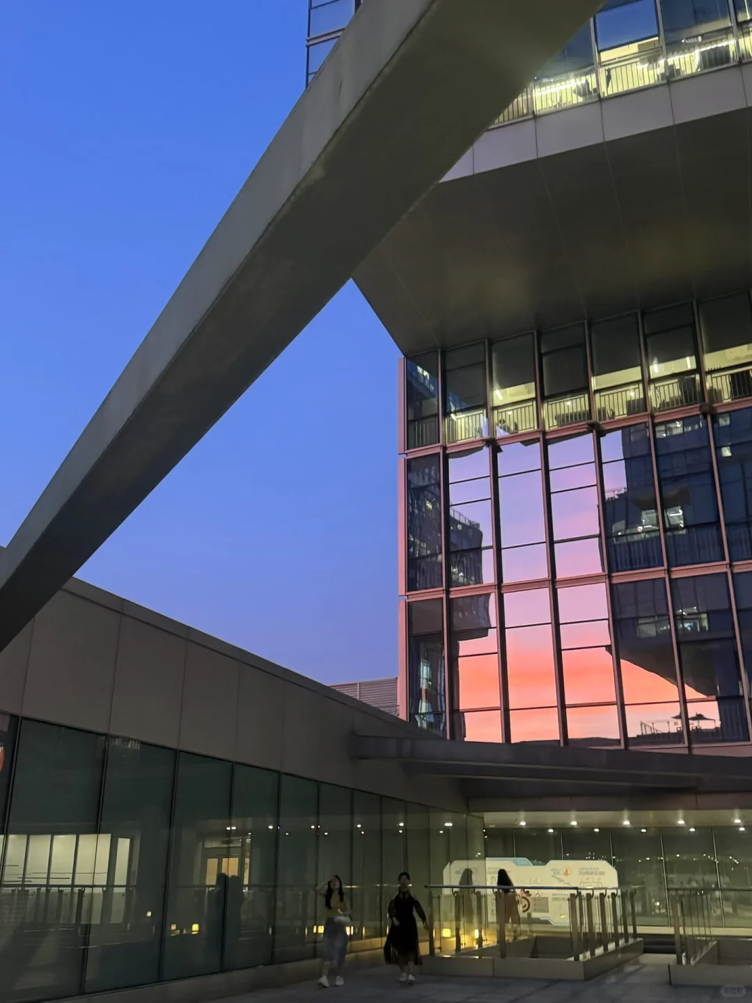 创业搭子看过来